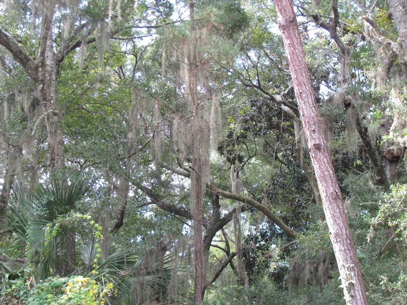 2755 Old Oak Walk #L14 B43, Seabrook Island, SC 29455