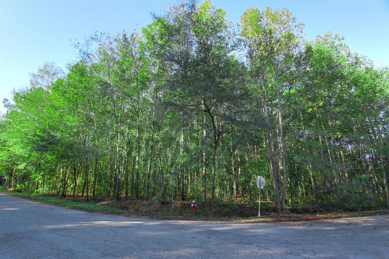 0 E Thomas St, Summerville, SC 29485