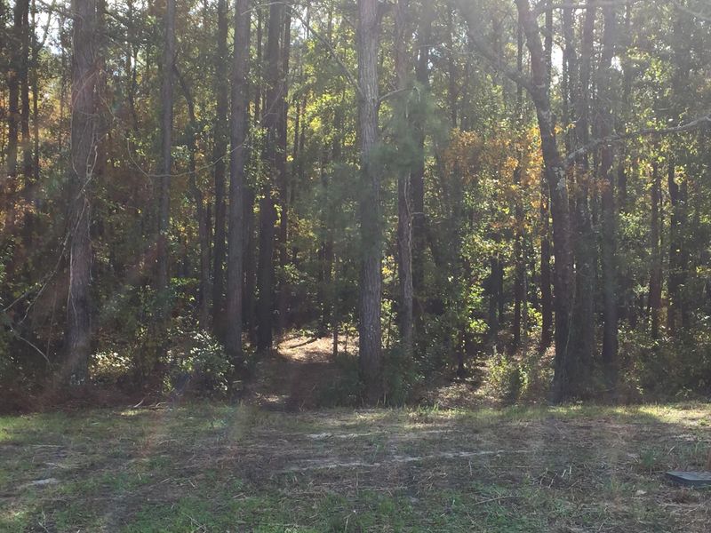 1074 Blockade Runner Pw, Summerville, SC 29485