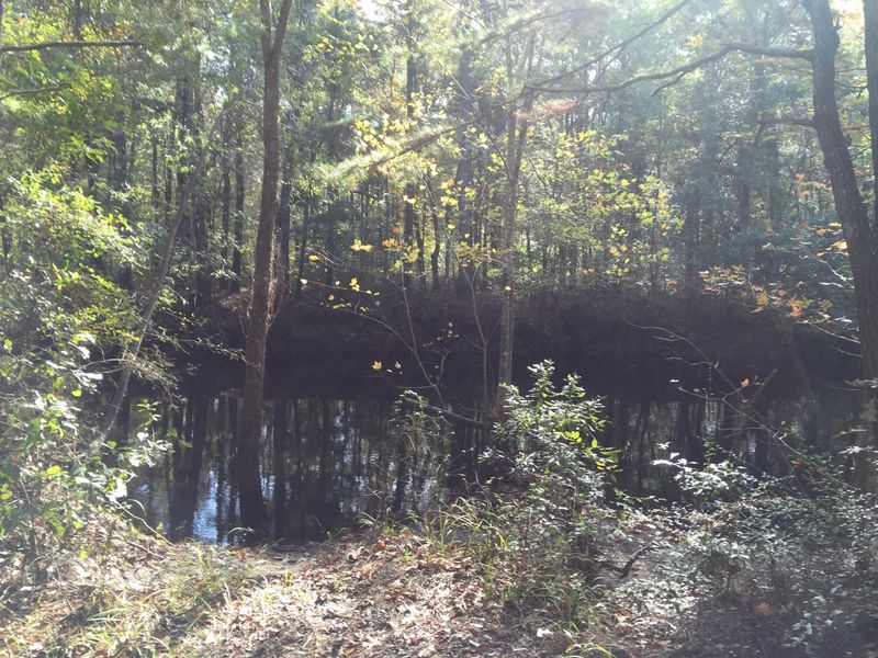 1074 Blockade Runner Pw, Summerville, SC 29485