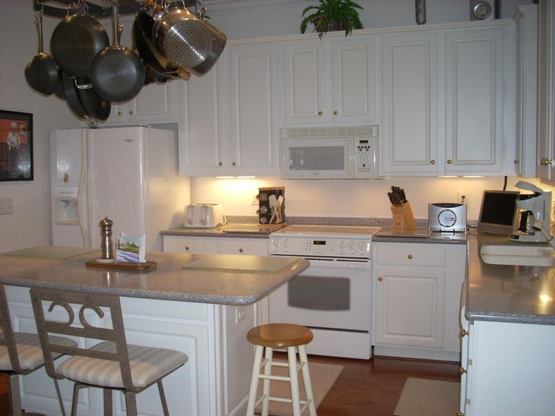 746 Natchez Cle Cir, Mount Pleasant, SC 29464