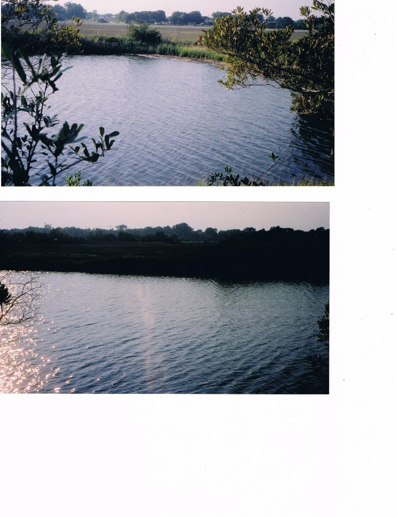 0 Teal Marsh Rd, Charleston, SC 29412