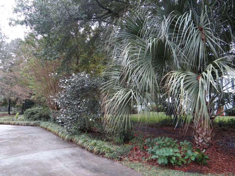3 Cutchin Ct, Charleston, SC 29414