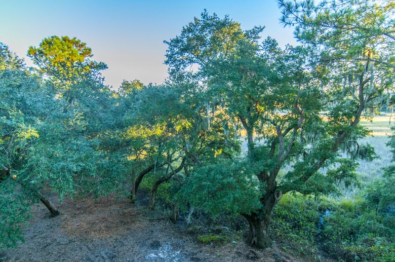 700 Daniel Ellis Dr #8205, Charleston, SC 29412