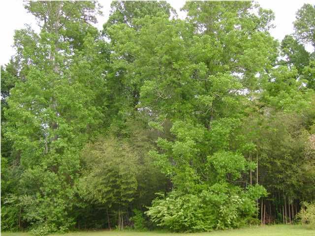 01 Collins Rd, Cross, SC 29436