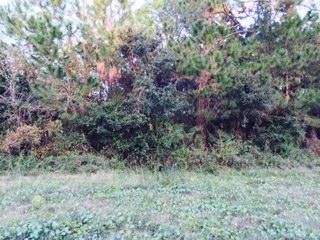 2190 Richardson Rd, Charleston, SC 29412