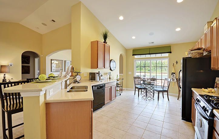 427 Fetterbush Dr, Moncks Corner, SC 29461