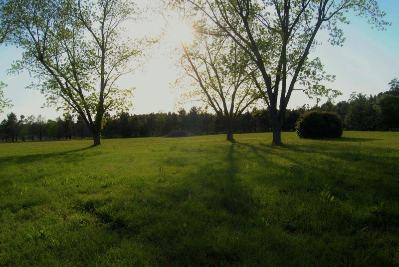 0 Sugar Hill Dr, Moncks Corner, SC 29461