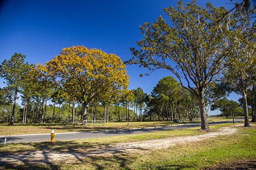 620 Bermuda Isle St, Daniel Island, SC 29492