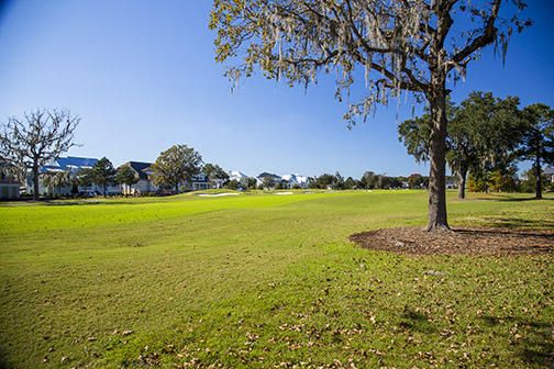 620 Bermuda Isle St, Daniel Island, SC 29492