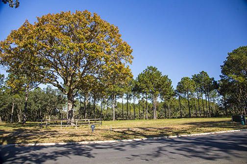 620 Bermuda Isle St, Daniel Island, SC 29492