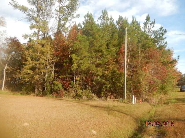 0 Chiles Dr, Summerville, SC 29483