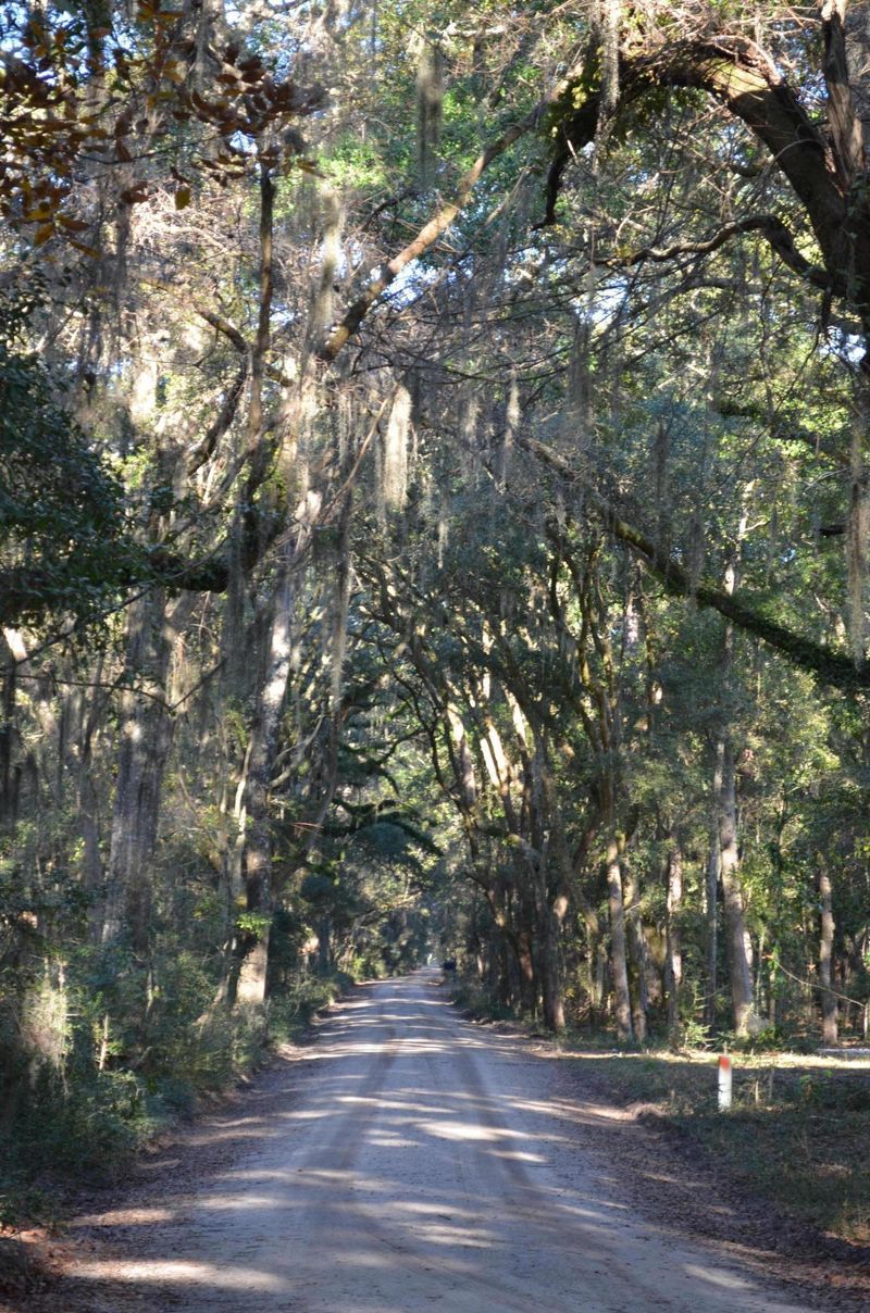 8730 Raccoon Island Rd, Edisto Island, SC 29438