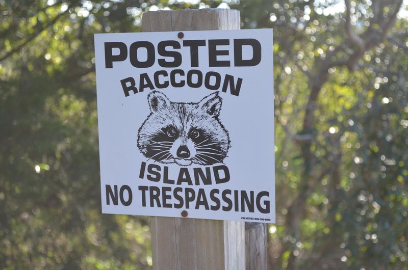 8730 Raccoon Island Rd, Edisto Island, SC 29438