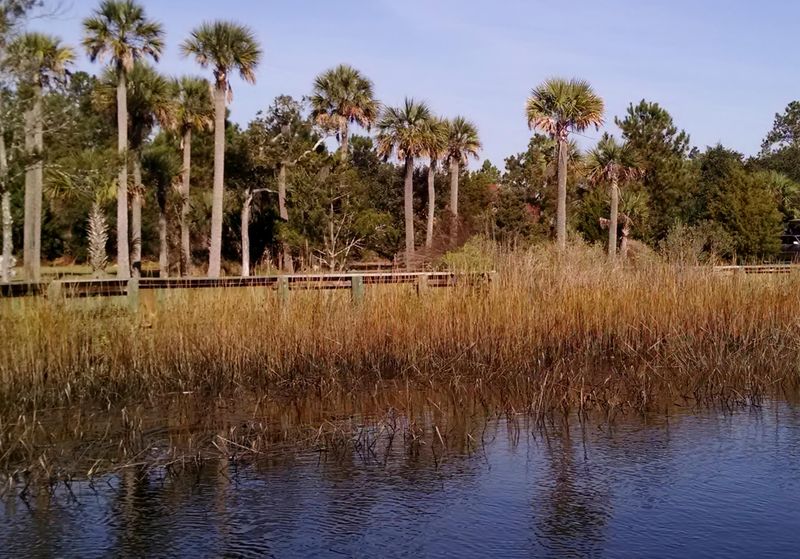543 Sanders Farm Ln, Charleston, SC 29492