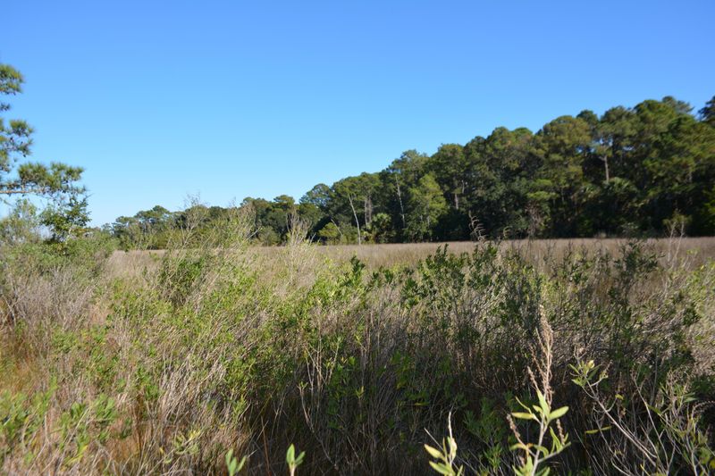 28 B Cotton Row Ln, Edisto Island, SC 29438