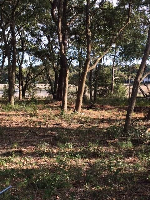 1133 Hills Plantation Dr, Charleston, SC 29412