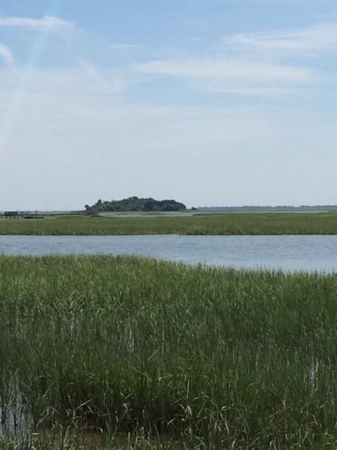 1491 Eutaw Battalion Dr, Charleston, SC 29412