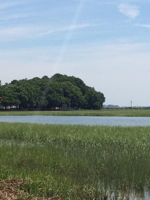 1491 Eutaw Battalion Dr, Charleston, SC 29412
