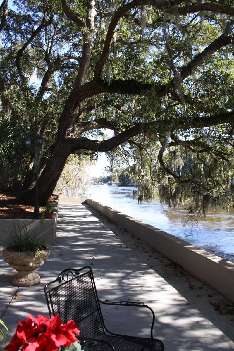 1339 S Edgewater, Charleston, SC 29407