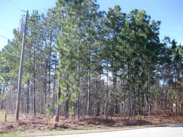 449 Pauline Dr, Bonneau, SC 29431