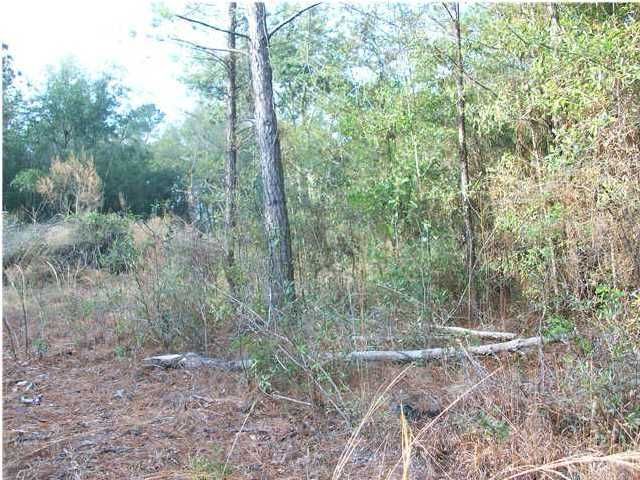 5816 Elizabeth Washington Ln, Ravenel, SC 29470