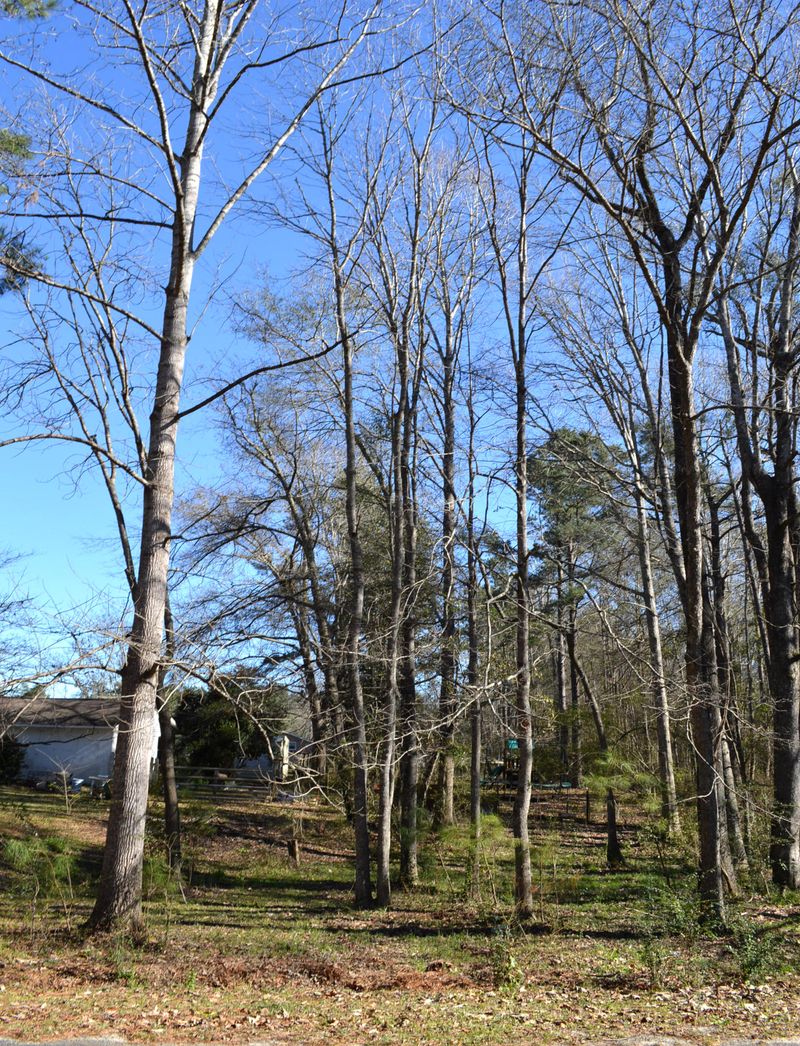 224 Allspice Dr, Summerville, SC 29483