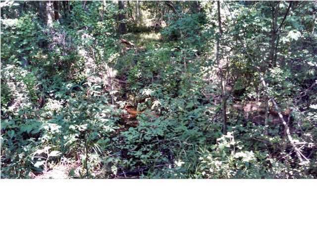 15 Stardust Way #2-D, Johns Island, SC 29455