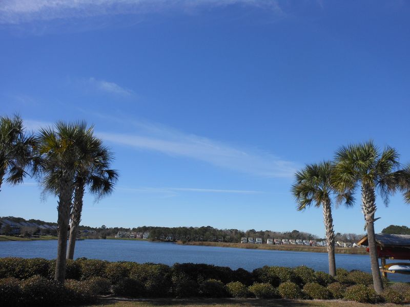 3046 Sugarberry Ln, Johns Island, SC 29455