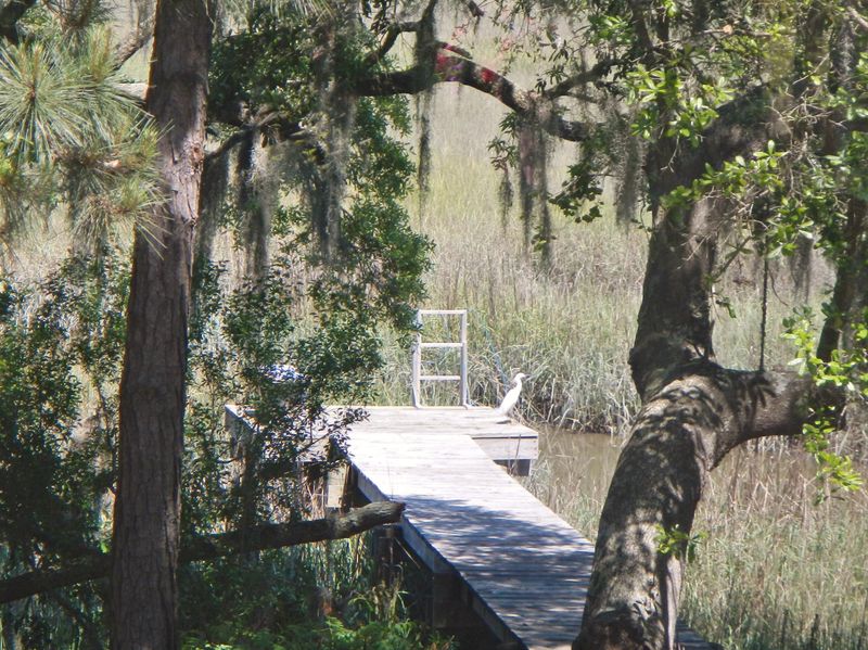 831 Whispering Marsh Dr, Charleston, SC 29412