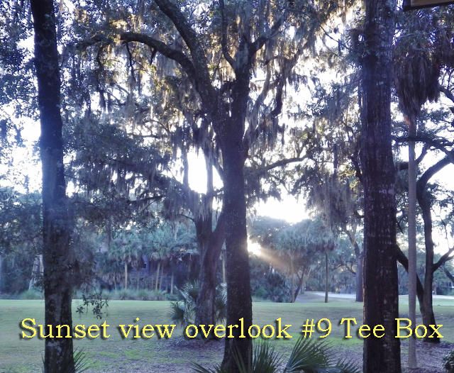 329 Sea Cloud Cir, Edisto Beach, SC 29438