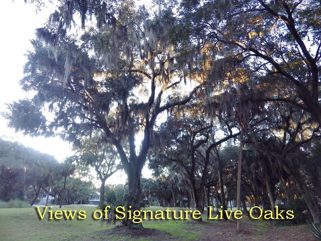 329 Sea Cloud Cir, Edisto Beach, SC 29438
