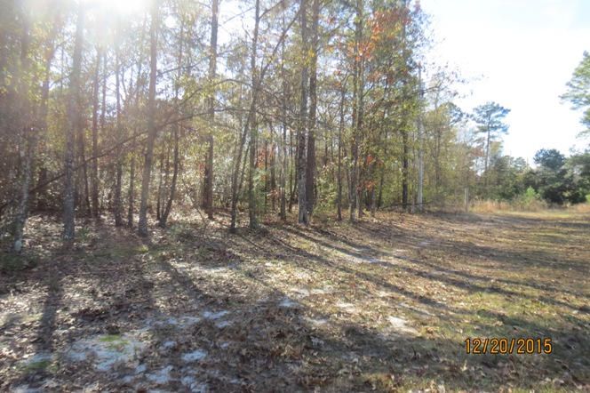 115 Lady Pom Ln, Moncks Corner, SC 29461