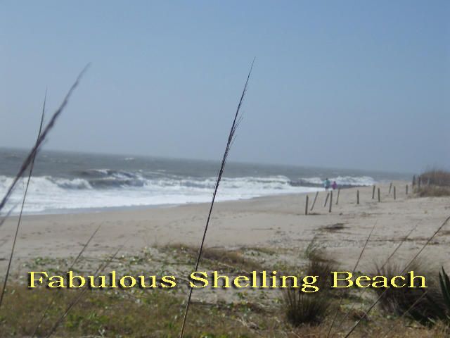 904 Cheehaw St, Edisto Island, SC 29438
