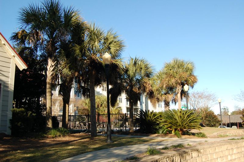 1984 Folly Rd #B105, Charleston, SC 29412