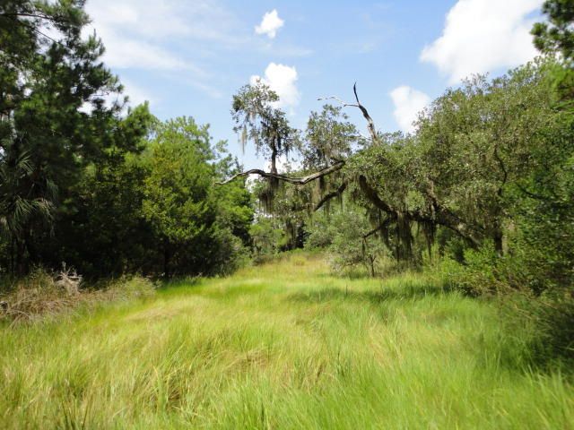 3262 Sand Marsh Ln, Mount Pleasant, SC 29466