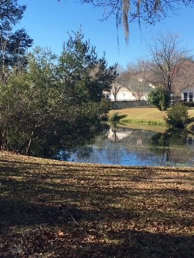 89 Toura Ln, Charleston, SC 29414