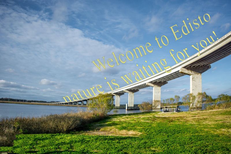 9c Blues Ln, Edisto Island, SC 29438