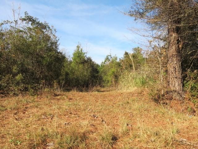 0 Powell Dr, Summerville, SC 29483