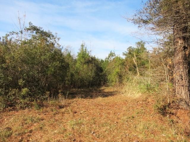 0 Powell Dr, Summerville, SC 29483