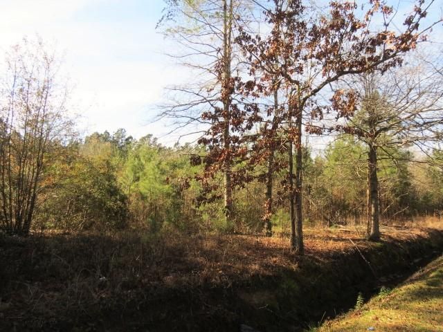 0 Medina West St, Summerville, SC 29483