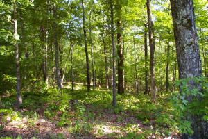6 Major Dr, Summerville, SC 29483