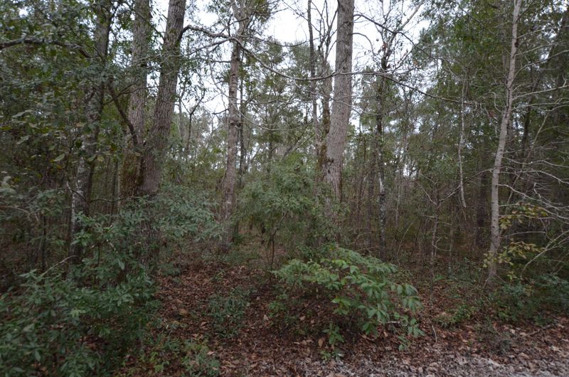 757 Donnelly Corner Dr, Awendaw, SC 29429