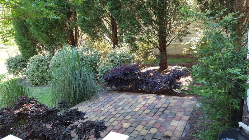 9042 Hackney Ct, North Charleston, SC 29406