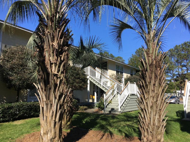 337 W Coleman Blvd #341 C, Mount Pleasant, SC 29464