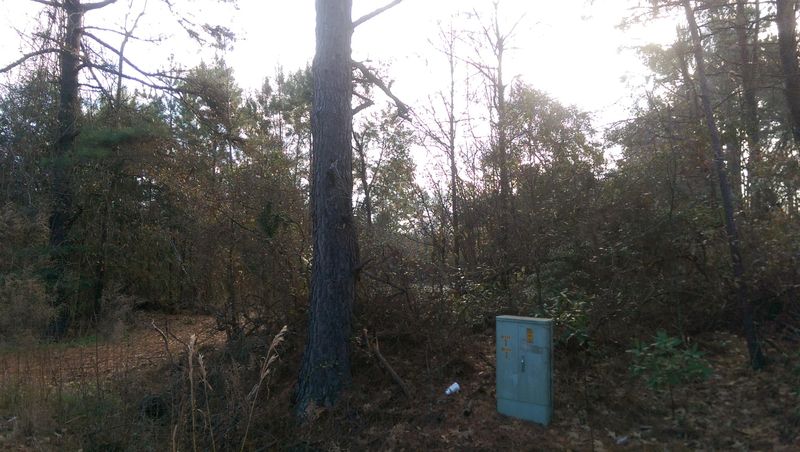 143 Winding Rd, Moncks Corner, SC 29461