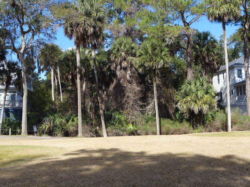 36 Pender Ln, Edisto Beach, SC 29438