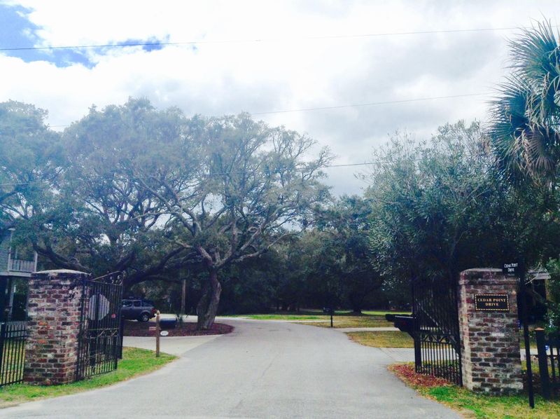 Lot 13 Cedar Point Dr, Charleston, SC 29412