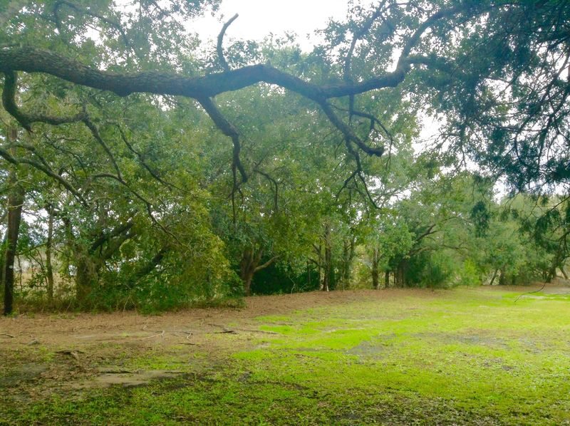 Lot 13 Cedar Point Dr, Charleston, SC 29412