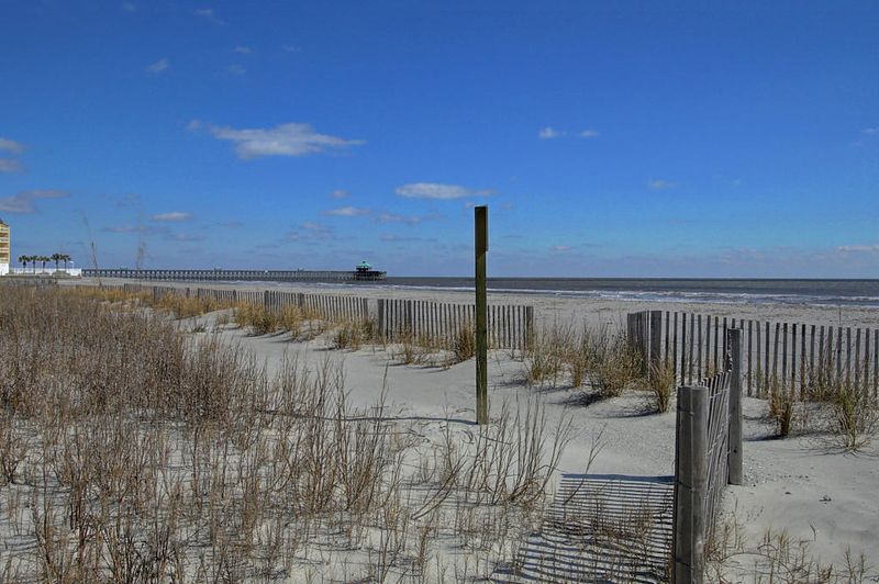 311 W Ashley Ave, Folly Beach, SC 29439